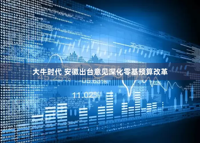 大牛时代 安徽出台意见深化零基预算改革