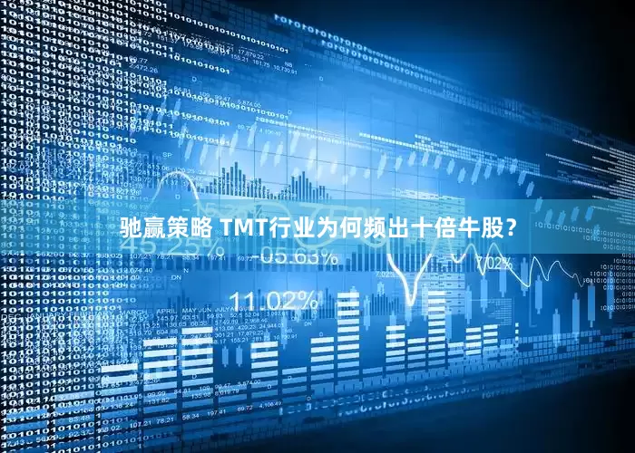 驰赢策略 TMT行业为何频出十倍牛股？